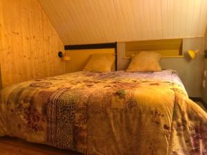 圣埃蒂安德蒂内埃La Cérisole的一间卧室配有一张床和被子