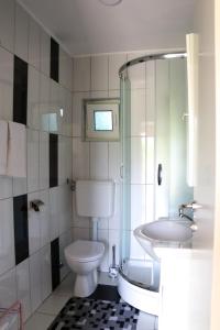 斯莫利亚纳茨Apartment Filomena的一间带卫生间和水槽的浴室
