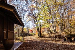 长野Villa Iizuna Plateau -飯綱高原の山荘-的秋天有长凳和树木的公园