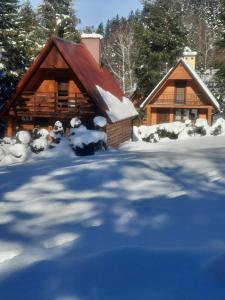巴利格鲁德DOMKI RODIS的小木屋,地面上积雪