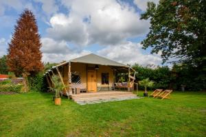 伊皮Camping Vossenberg - op de Veluwe!的一座小房子,位于一个绿色草坪的庭院内