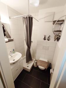 海尔布隆Business Apartments Heilbronn的一间带水槽和卫生间的小浴室