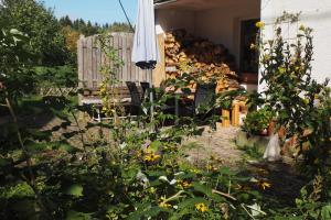 蒂蒂湖-新城Ferienwohnung Am Seebach, 80 Qm的种满了植物和遮阳伞的花园