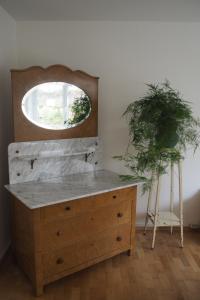 蒂蒂湖-新城Ferienwohnung Am Seebach, 80 Qm的房间里的梳妆台,带镜子和植物