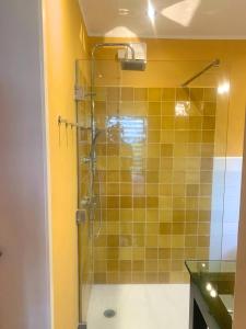 HerbaijumB&B NR6的浴室设有黄色瓷砖淋浴。