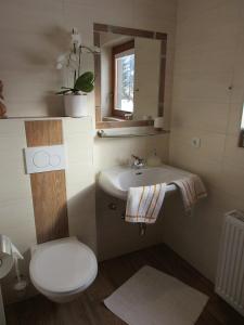 格绍艾格芭芭拉公寓酒店的一间带卫生间、水槽和镜子的浴室