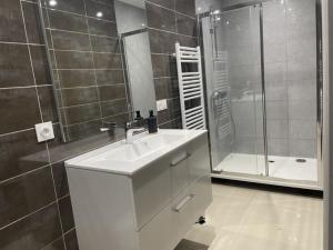 欧塞尔L’escale féerique的浴室配有白色水槽和淋浴。