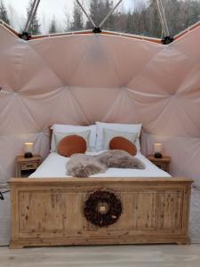 Forbord Dome的帐篷内一间卧室,配有一张床