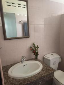 奥南海滩Aonang Knockout Hostel的一间带水槽、卫生间和镜子的浴室