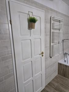 格武霍瓦济Apartament Mar&Mel的一间用白色门和盆栽的浴室