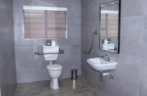 科克斯塔德EDEN BOUTIQUE HOTEL的一间带卫生间、水槽和镜子的浴室