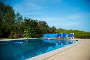 蒙萨拉什阿勒塔山乡村旅游酒店的游泳池旁设有蓝色躺椅