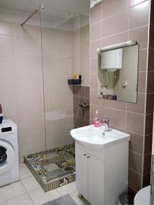萨拉热窝Apartman Zana的带淋浴、盥洗盆和卫生间的浴室