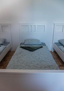 PuconciHOSTEL VANEČA的白色的客房设有两张床和一张大床