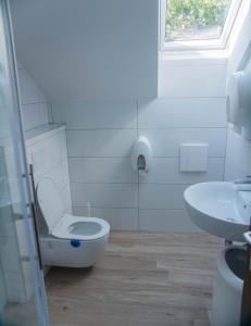 PuconciHOSTEL VANEČA的白色的浴室设有卫生间和水槽。