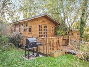 BrinkleyLion House- Uk45705的庭院内带烧烤架的小木屋