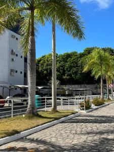 若昂佩索阿Apartamento Amplo com piscina e academia的两棵棕榈树,在围栏旁的一条人行道上