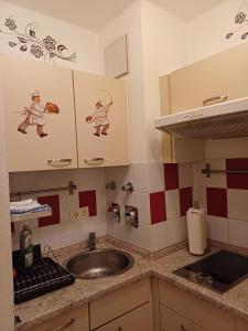 柏林商务公寓的厨房配有水槽和台面