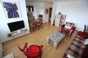 卢布尔雅那Thomas apartment 028的客厅配有电视、椅子和桌子