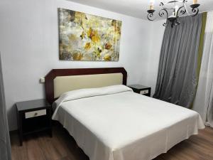 圣拉菲尔芬卡拉卡索纳高级客房酒店的卧室配有一张床,墙上挂有绘画作品