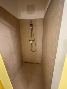 维也纳Der Salon Hostel的浴室内带软管的淋浴