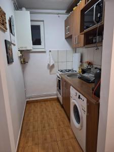 特尔古穆列什A&M的小厨房配有洗衣机和洗衣机