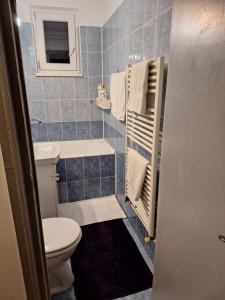 特尔古穆列什A&M的蓝色瓷砖浴室设有卫生间和水槽