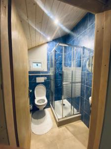 劳特布龙嫩Chalet Bärgstäger的蓝色的浴室设有卫生间和淋浴。