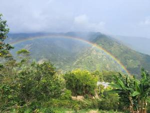 伊瓦格Glamping Akaya的山中树和森林的彩虹