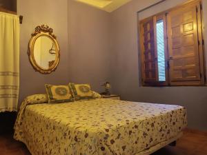 阿尔卡拉德尔胡卡尔Las Cuevas Del Abismo的一间卧室配有一张带镜子的床和窗户