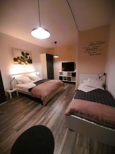 皮瑞伯德apartma Vila TARA的一间卧室配有两张床和一台平面电视