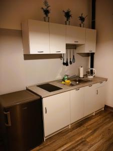 皮瑞伯德apartma Vila TARA的小厨房配有白色橱柜和水槽