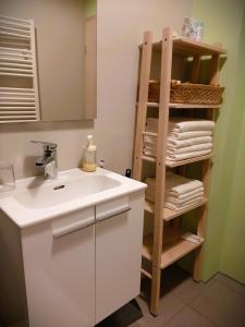 皮瑞伯德apartma Vila TARA的浴室设有水槽和带毛巾的架子。