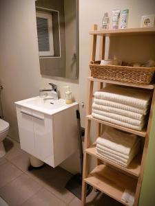 皮瑞伯德apartma Vila TARA的浴室设有水槽和带毛巾的架子。
