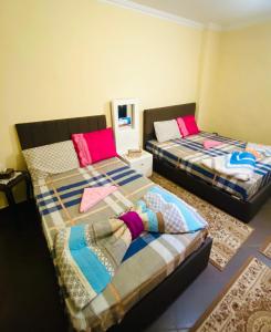 开罗Momen Pyramids Inn的配有两张粉红色和蓝色床铺的客房