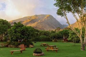 帕依亚Explore Maui's diverse campgrounds and uncover the island's beauty from fresh perspectives every day as you journey with Aloha Glamp's great jeep equipped with a rooftop tent的山前的一组野餐桌