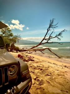 帕依亚Explore Maui's diverse campgrounds and uncover the island's beauty from fresh perspectives every day as you journey with Aloha Glamp's great jeep equipped with a rooftop tent的停泊在海边的汽车