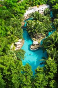 雅加达雅加达希尔顿逸林酒店 - 迪本尼格罗的棕榈树河流的空中景观