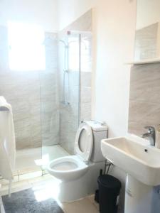 弗里敦Marie & Sons Property的浴室配有卫生间、盥洗盆和淋浴。