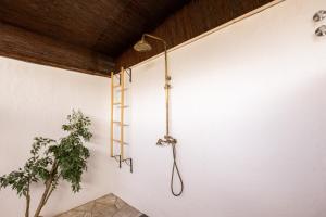 卡尔塔马格赛酒店的白色墙壁上的淋浴,盆栽植物