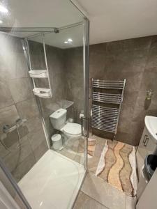 ErithUnique, Stylish, Non-smoking, Riverview Loft EnSuite for Rent的带淋浴、卫生间和盥洗盆的浴室