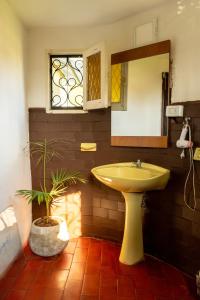 波萨达斯" Casa quinta "San Bernardo" Con Pileta y amplio jardín的浴室设有水槽、镜子和植物
