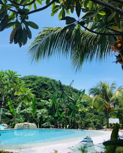 纳闽巴霍维莫拉斯宾馆的热带森林中的一个游泳池