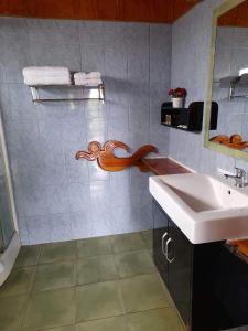 安加罗阿Atavai Hotel Rapa Nui的一间带水槽和镜子的浴室