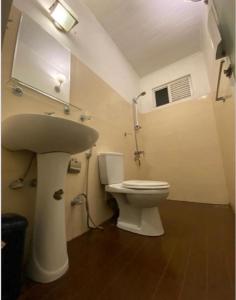 阿努拉德普勒Sadula Holiday Resort的一间带水槽和卫生间的浴室