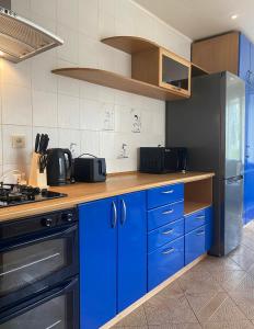 卡梅拉瓦2 bedroom apartment close to Kaunas airport in Karmelava的厨房配有蓝色橱柜和不锈钢冰箱