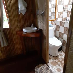 杜马格特Dumaguete Oasis Treehouse的一间带卫生间和水槽的浴室