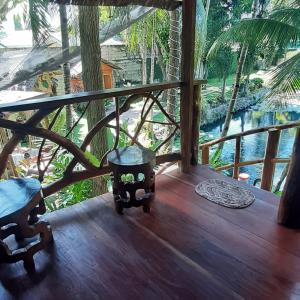 杜马格特Dumaguete Treehouse的享有水景的房屋阳台