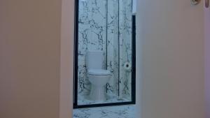 科尼亚ZerCity Otel的一间带卫生间和玻璃门的浴室