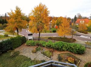 埃伦德伊莱伦蒂公寓酒店的享有树木和道路的花园美景